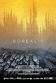 Borealis (2020) cover