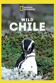 Wild Chile Soundtrack (2018) cover