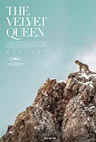 The Velvet Queen (2021) cover