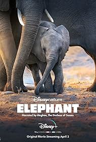 Elephant Soundtrack (2020) cover