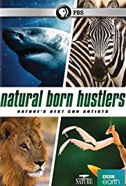 Natural Born Hustlers (2016) copertina