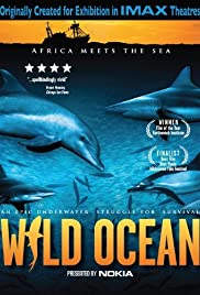 Wild Ocean Colonna sonora (2008) copertina