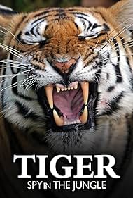 Tiger: Spy in the Jungle (2008) cover