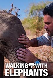 Walking with Elephants (2020) cover