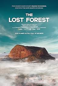 The Lost Forest Colonna sonora (2020) copertina