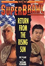 WCW SuperBrawl I (1991) copertina