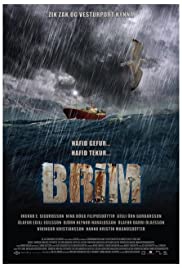 Brim (2010) cover