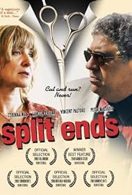 Split Ends (2009) cover