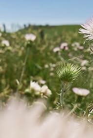 Fiori, fiori, fiori (2020) couverture