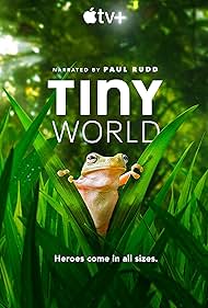 Tiny World Soundtrack (2020) cover
