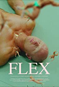 Flex Banda sonora (2020) carátula