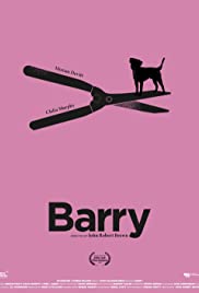 Barry (2020) copertina