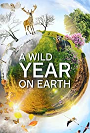 A Wild Year on Earth (2020) cover