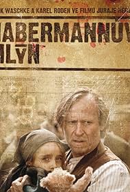 Habermann (2010) cover