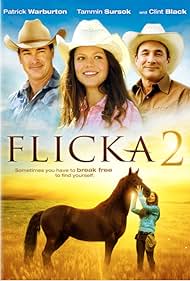 Flicka 2 (2010) cobrir