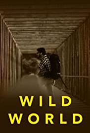 Wild World Colonna sonora (2021) copertina