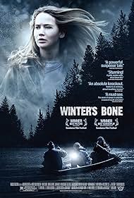 Un gelido inverno (2010) copertina