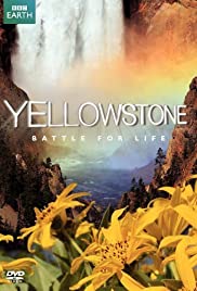 Yellowstone (2009) copertina