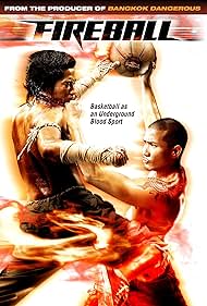 Fireball (2009) copertina