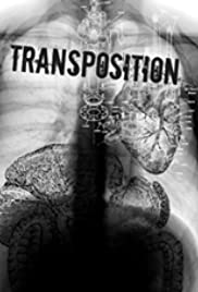 Transposition Colonna sonora (2010) copertina