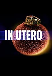 In Utero Colonna sonora (2009) copertina