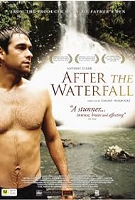 After the Waterfall (2010) copertina