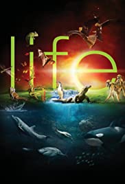 Life (2009) copertina