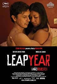 Leap Year (2010) cover