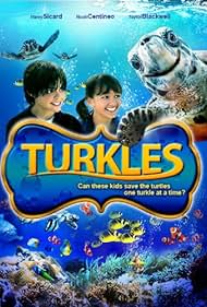 Turkles (2011) cover