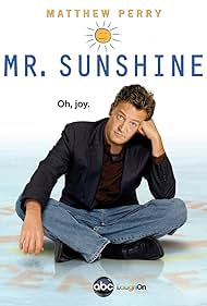 Mr. Sunshine (2011) copertina