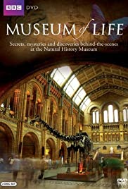 Museum of Life Colonna sonora (2010) copertina