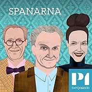 "Spanarna" Supersyndaren - en antihjälte i tiden, "Introtismen" - ett äventyr på hemmaplan & Prisa den som prisas bör (2013) Film