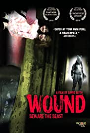 Wound (2010) carátula