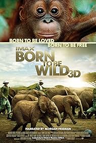 Born to Be Wild 3D (2011) cover