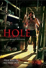 Hole (2010) carátula