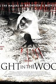 A Night in the Woods (2011) copertina