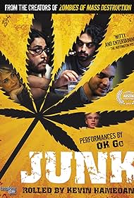 Junk (2012) copertina