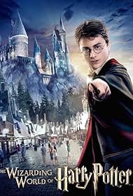 Harry Potter and the Forbidden Journey (2010) cover