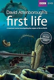 First Life (2010) copertina