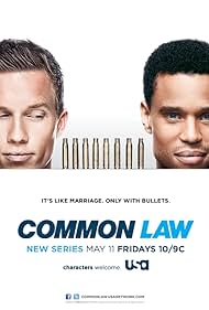 Common Law (2012) cover