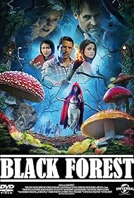 Les Secrets de la forêt noire (2012) cover