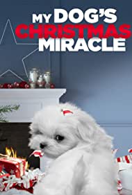 A Dog's Christmas Miracle (2011) cover