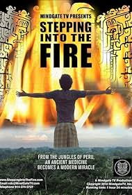 Stepping Into the Fire Banda sonora (2011) cobrir