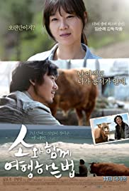 Rolling Home with a Bull (2010) copertina