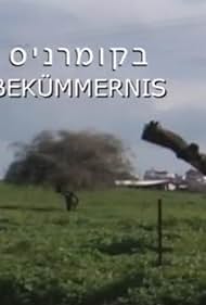 Bekummernis (2006) cover