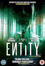Entity (2012) copertina