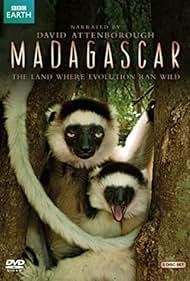 Madagascar (2011) cobrir