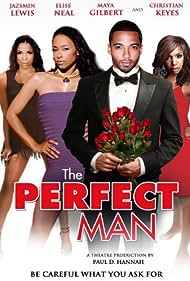 The Perfect Man (2011) cobrir