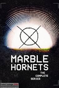 Marble Hornets (2009) copertina
