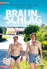Braunschlag (2012) copertina